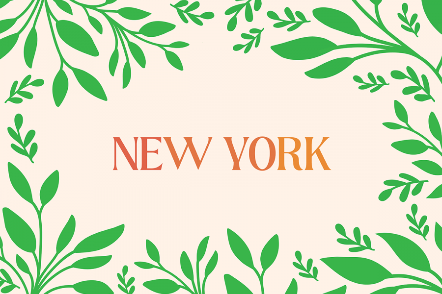 MJP website cover images-03